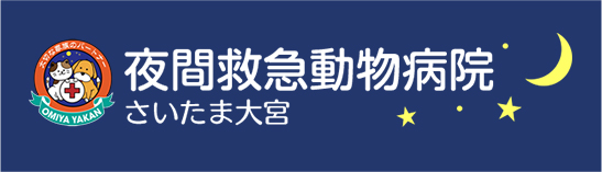夜間救急動物病院　さいたま大宮