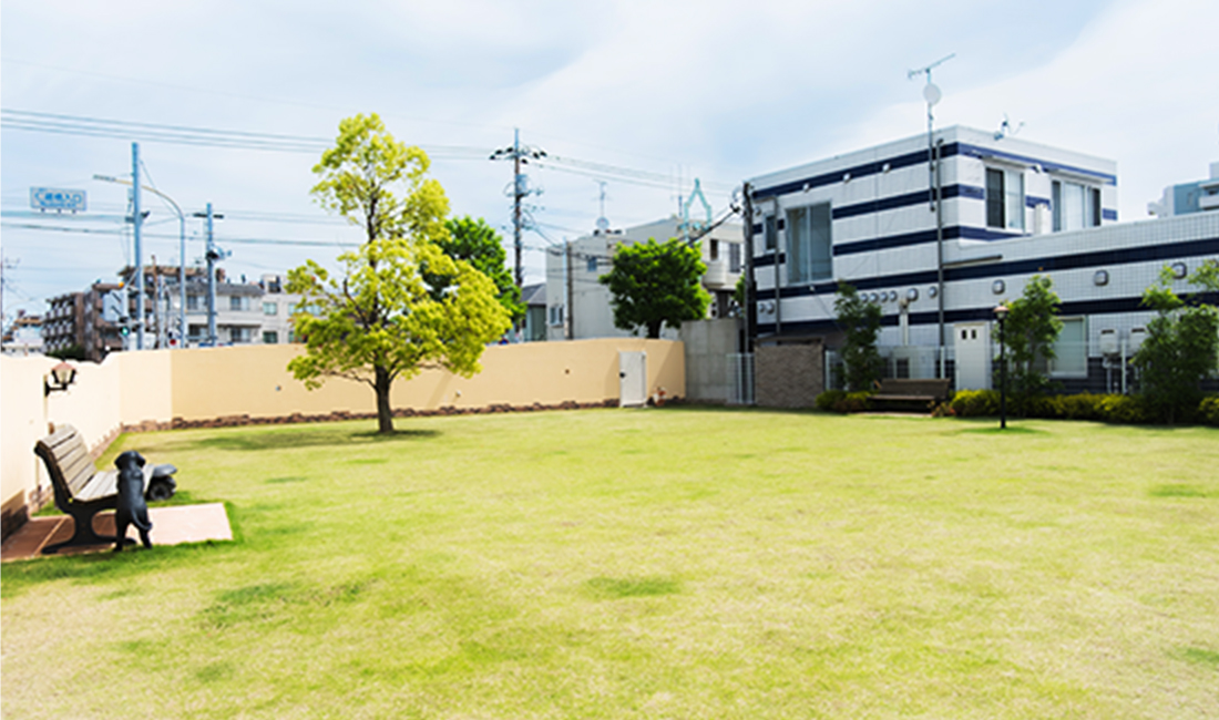 DOG PARKの写真