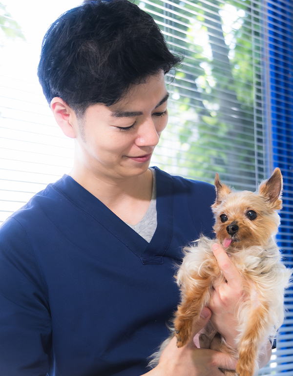 スタッフが犬を抱いている写真
